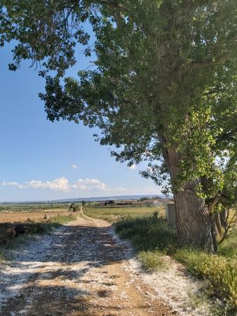 Imagen CUMPLIMIENTO ORDENANZA REGULADORA DE CAMINOS RURALES